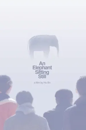 An Elephant Sitting Still Top Rated