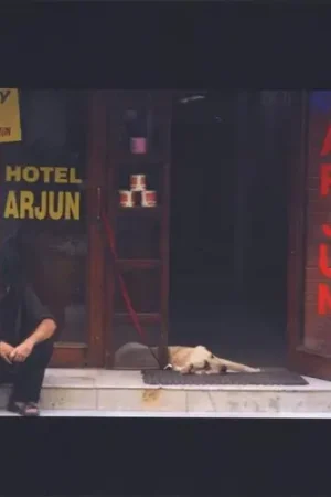 Brand New Hotel Arjun