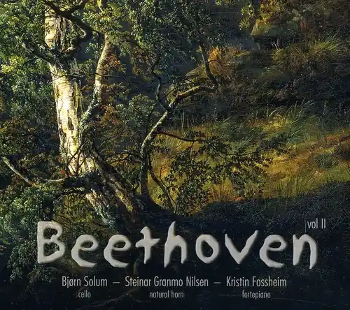 Beethoven Sonatas 2 Reduced Price