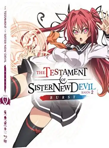 The Testament Of Sister New Devil Burst: Season Two + Ova Final Sale