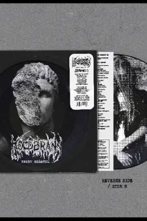 Limited Offer Ingen Skansel [Limited Edition] (Pict)