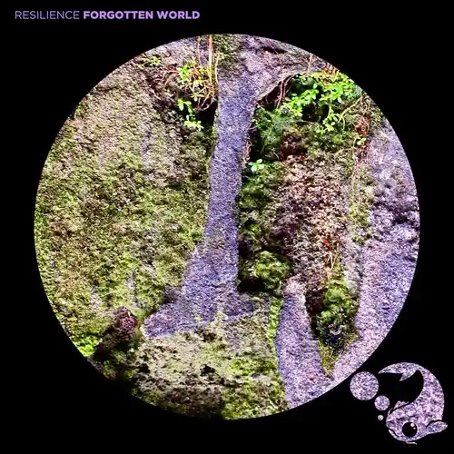 Flash Sale Forgotten World