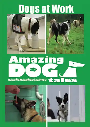 Amazing Dog Tales - Dogs at Work Limited Offer