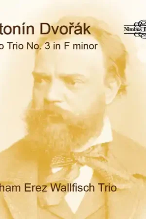 Top Pick Piano Trio No. 3 In F Minor