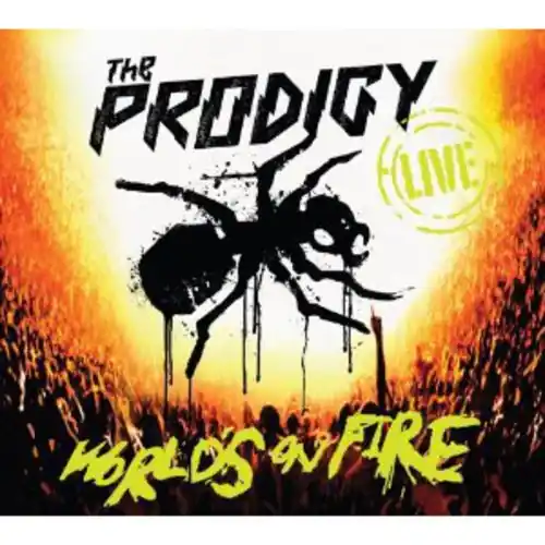 Live World's On Fire Fast Shipping