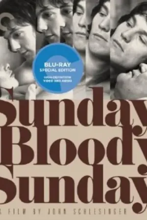 Sunday Bloody Sunday (Criterion Collection) Money Back Guarantee