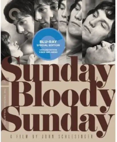 Sunday Bloody Sunday (Criterion Collection) Money Back Guarantee