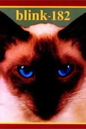 Cheshire Cat (reissue) Buy Today