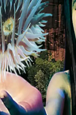Lifeforms (Hol) High Quality