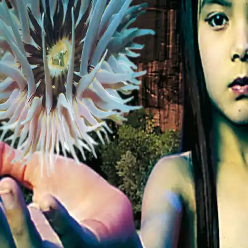 Lifeforms (Hol) High Quality