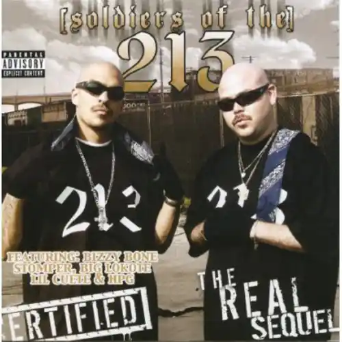 Next Day Delivery Soldiers of the 213 Part 2 / Various