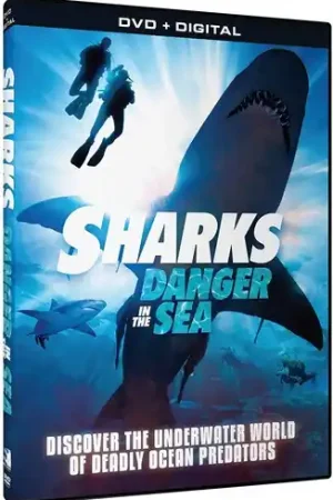 Sharks: Danger in the Sea Collection Seasonal Sale