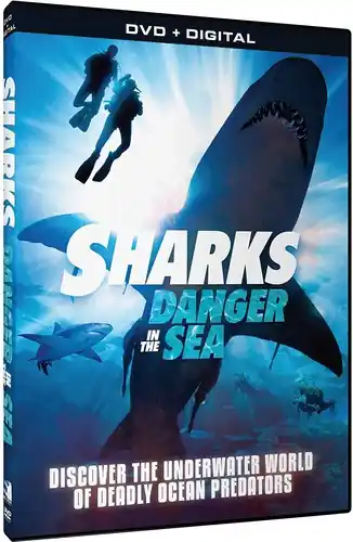 Sharks: Danger in the Sea Collection Seasonal Sale