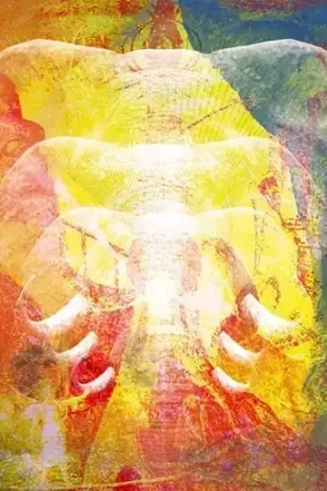 Worldwide Shipping Elephants In Autumn Rage (Uk)