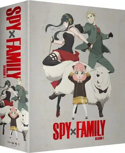 Spy X Family - Part 2 (4pc) (W/Dvd) / (Ltd Sub) Deal