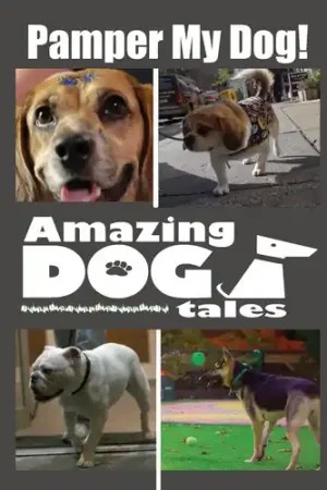 Money Back Guarantee Amazing Dog Tales - Pamper My Dog!
