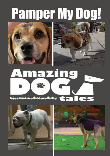 Money Back Guarantee Amazing Dog Tales - Pamper My Dog!