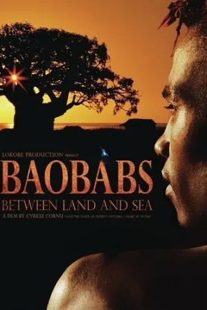 Baobabs Between Land and Sea Price Drop