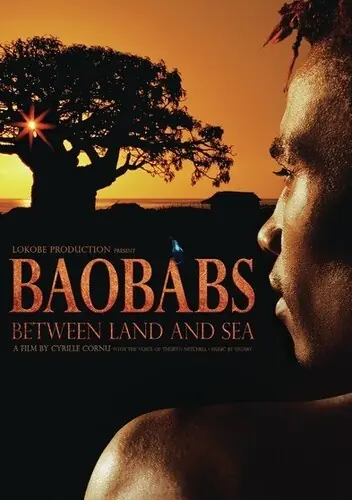 Baobabs Between Land and Sea Price Drop