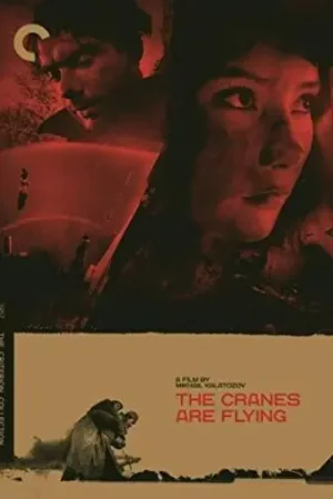 The Cranes Are Flying (Criterion Collection) Genuine
