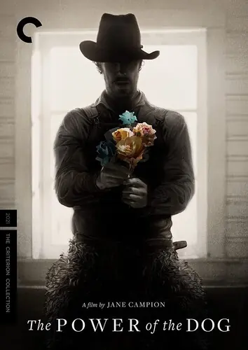 Mega Sale Power Of The Dog Dvd / (Dol)