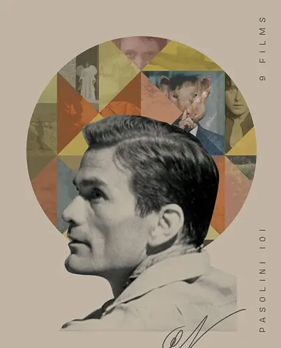 Pasolini 101/Bd (9pc) / (Box Sub Ws) Order Now