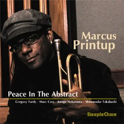 Peace in the Abstract Warranty Included