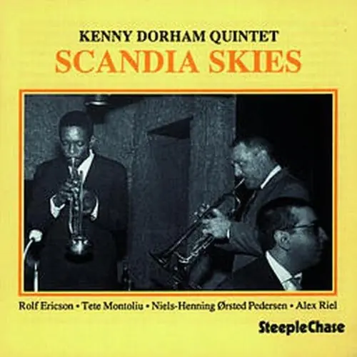 Affordable Scandia Skies
