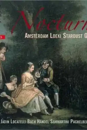 Nocturne (Hybr) Buy Online