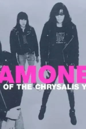 Best Of The Chrysalis Years [Import] Buy Direct