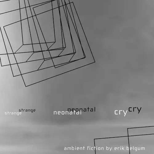 Strange Neonatal Cry: Ambient Fiction Hot Picks
