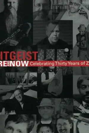 Warranty Included Here & Now: Celebrating 30 Years Zeitgeist / Various
