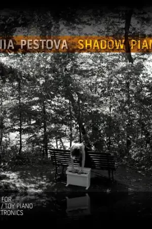 Direct From Factory Shadow Piano