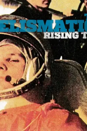 Rising Tide Sale