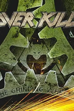 Worldwide Shipping Grinding Wheel (Blk) (Gate) [Limited Edition] (Ylw)