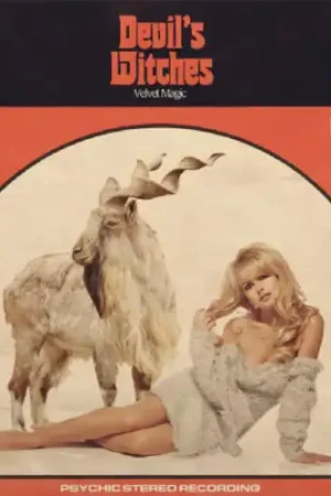 Viral Velvet Magic