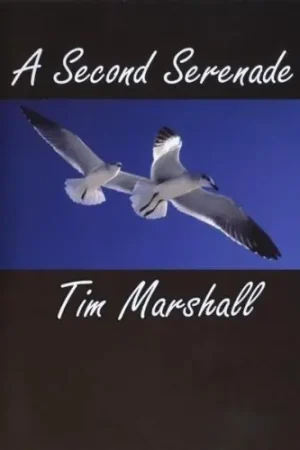 Second Serenade Budget