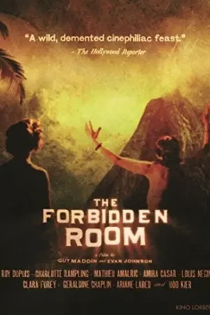 Factory Price The Forbidden Room