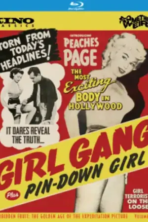 Girl Gang / Pin Down Girl Direct From Manufacturer