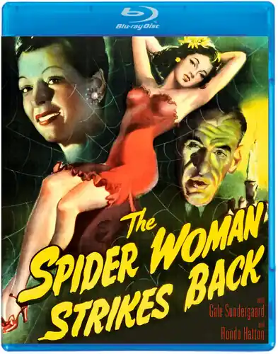 Spider Woman Strikes Back (1946) One Day Deal