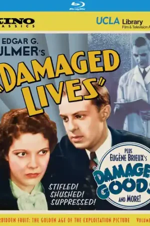 Bulk Order Damaged Lives / Damaged Goods