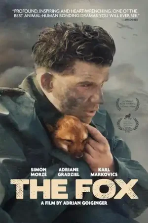 Fox / (Sub) Certified