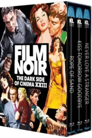 Save Now Film Noir: The Dark Side Of Cinema Xxiii (3pc)
