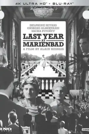 Last Year at Marienbad Sale