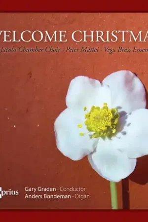 Welcome Xmas Weekend Sale