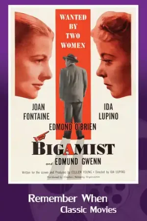 Bigamist / (Mod) High Quality