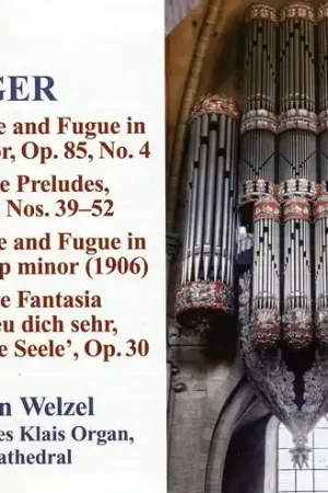 Reger 10: Organ Works Shop Now