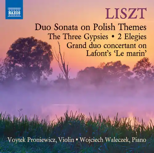 Direct From Manufacturer Music for Violin & Piano