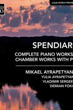 Complete Piano Works Factory Price