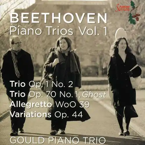 Piano Trios 1 Direct From Factory